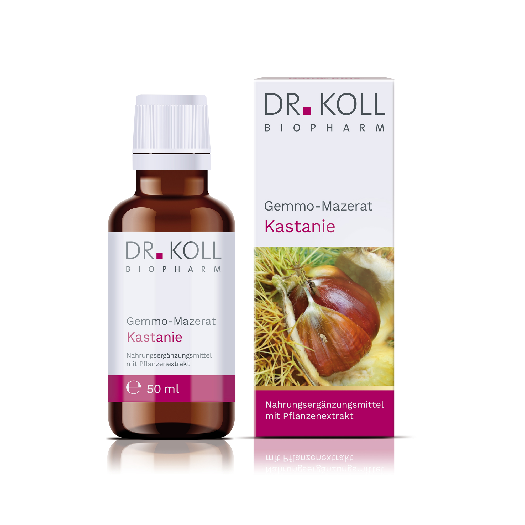 Gemmo-Mazerat Kastanie