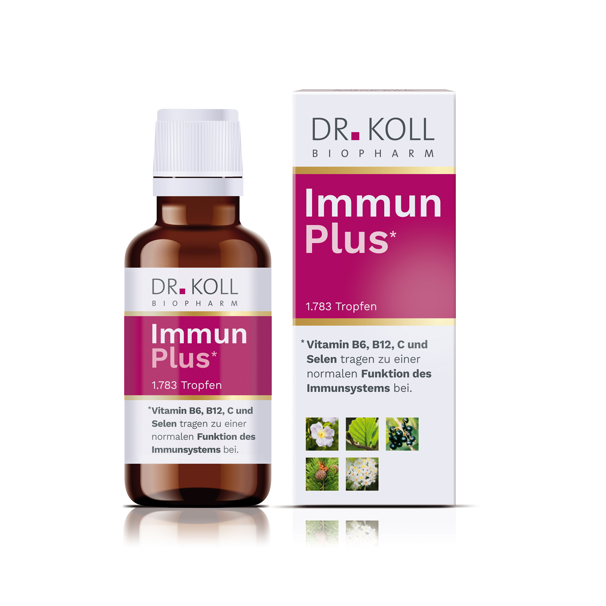 Immun Plus Dr. Koll